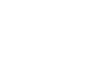 Emile International School