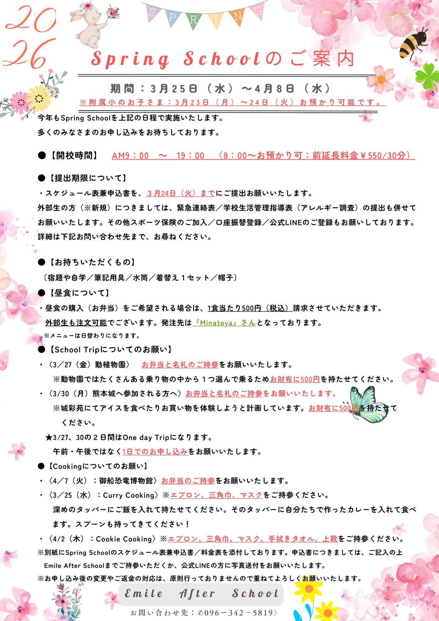 Spring School案内